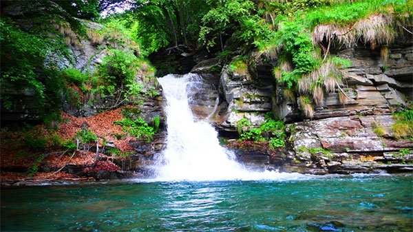 Cascata in una foresta pluviale